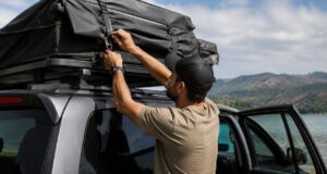noticia carpas de techo 5