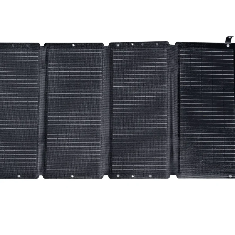 100w 1